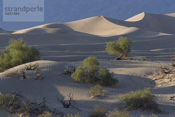 Sanddünen nahe Stovepipe Wells  Death Valley National Park  California  Vereinigte Staaten von Amerika  Nordamerika