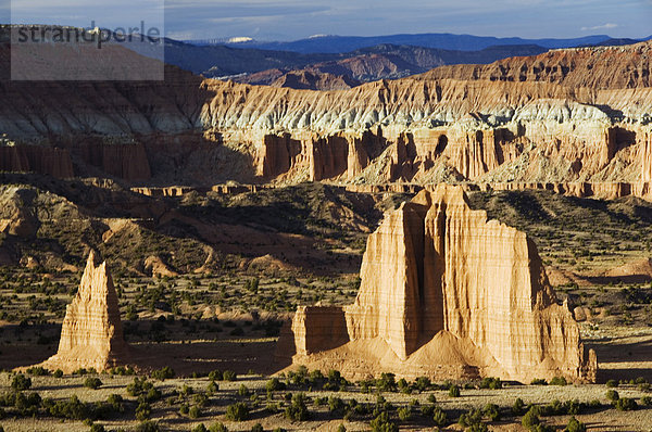 Licht des späten Nachmittags auf den Sandstein-Pinnacles Cathedral Valley in Capitol Reef Nationalpark  Utah  Vereinigte Staaten von Amerika  Nordamerika