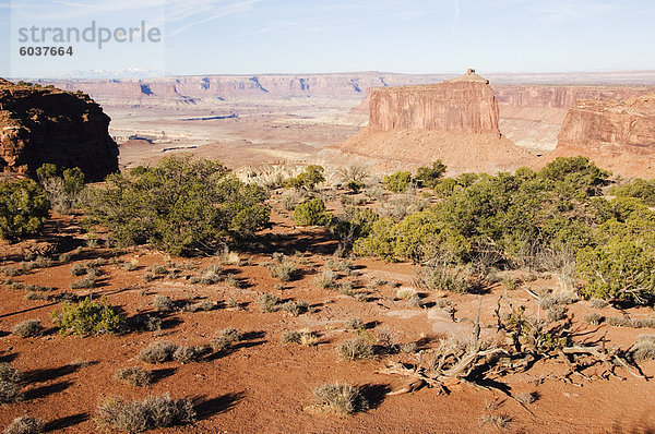 Plateau und Canyons in Island in den Himmel  Canyonlands National Park  Utah  Vereinigte Staaten von Amerika