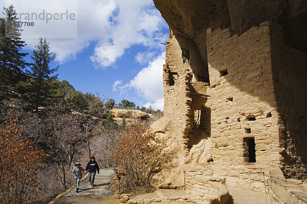 Fichte Tree House Ruins  Pueblo-Ruinen in Mesa Verde  enthält einige der meisten Elaborte Pueblo Wohnungen fand heute  Mesa Verde National Park  UNESCO Weltkulturerbe  Colorado  USA  Nordamerika