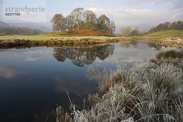 Fluß Brathay im Winter  in der Nähe von Elterwater  Lake District  Cumbria  England  Vereinigtes Königreich  Europa