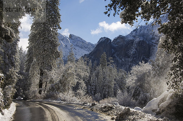 Neuschnee fallen  Yosemite Tal  Yosemite National Park  UNESCO Weltkulturerbe  California  Vereinigte Staaten von Amerika  Nordamerika