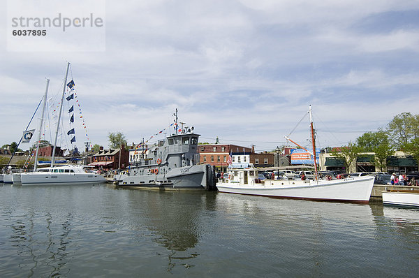 Spa Creek  Annapolis  Maryland  Vereinigte Staaten von Amerika  Nordamerika