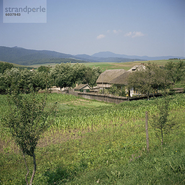 Typisches Moldauisch-Dorf mit hölzernen gekachelt Dächer  Poiana  Moldawien  Rumänien  Europa