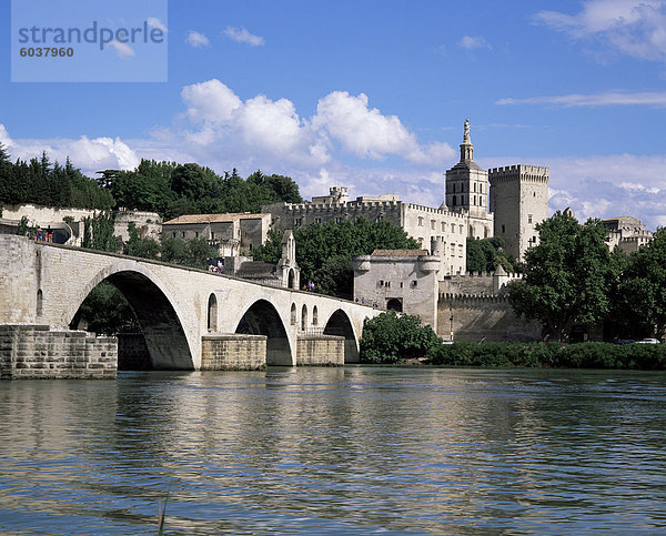 Brücke und Stadt  Avignon  Vaucluse  Provence  Frankreich  Europa