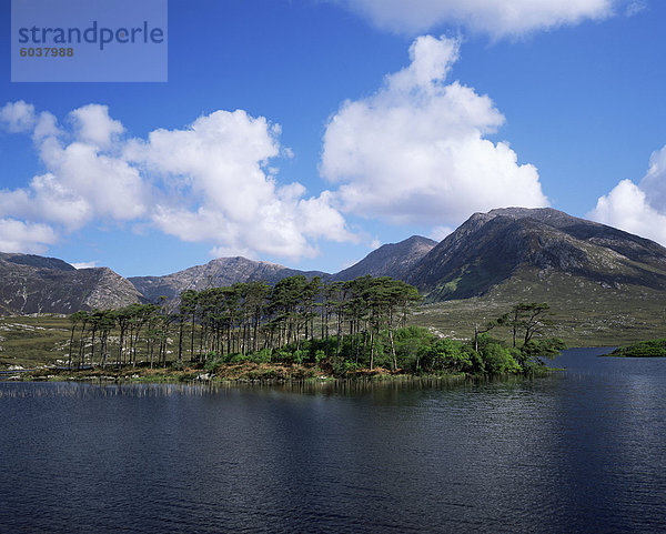 Derryclare Loch  Connemara  County Galway  Connacht  Eire (Irland)  Europa