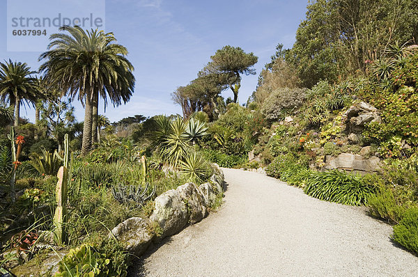 Die Abbey Gardens  Tresco  Isles of Scilly  aus Cornwall  Vereinigtes Königreich  Europa