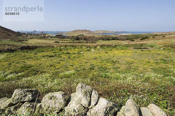 Bryer (Bryher)  Isles of Scilly  aus Cornwall  Vereinigtes Königreich  Europa