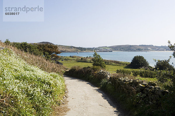 Bryer (Bryher)  Isles of Scilly  aus Cornwall  Vereinigtes Königreich  Europa