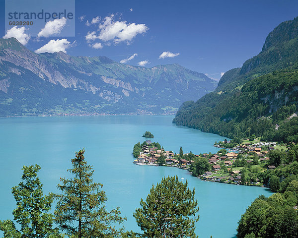 Blick über den Brienzersee  Iseltwald  Schweiz  Europa