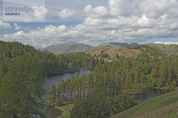 Tarn Hows  Helvellyn Range in Ferne  Lake District-Nationalpark  Cumbria  England  Vereinigtes Königreich  Europa