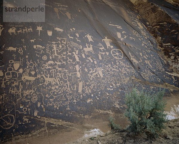 Zeitung Rock  der Navajo-Indianer nannten es 'Tse Hane'  Gestein  das Brauchtum  Canyonlands  Utah  Vereinigte Staaten von Amerika (USA)  Nordamerika erzählt