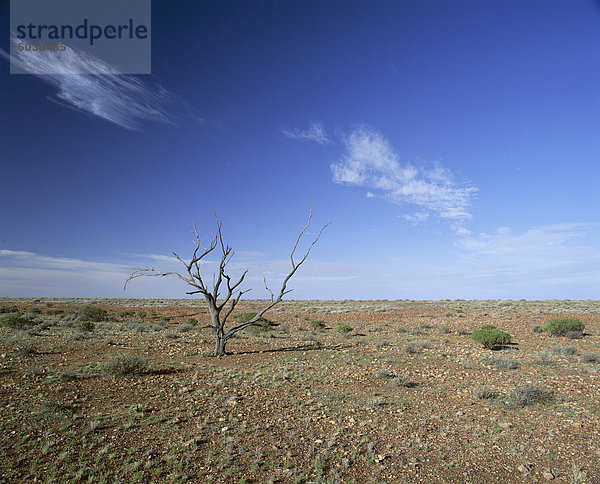 Aride Landschaft  das Outback  South Australia  Australien  Pazifik