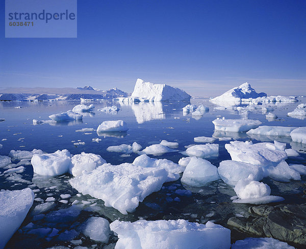 Eisberge und dreiste Eis  Antarktis  Polarregionen