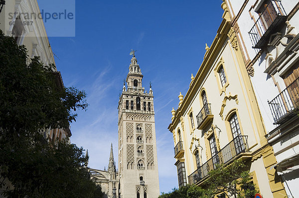 La Giralda  Santa Cruz Kreis  Sevilla  Andalusien  Spanien  Europa