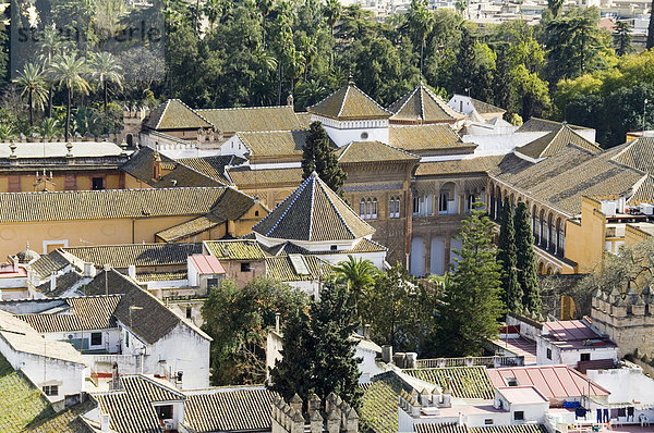 Real Alcazar  UNESCO-Weltkulturerbe  gesehen vom Turm La Giralda  Viertel Santa Cruz  Sevilla  Andalusien (Andalusien)  Spanien  Europa