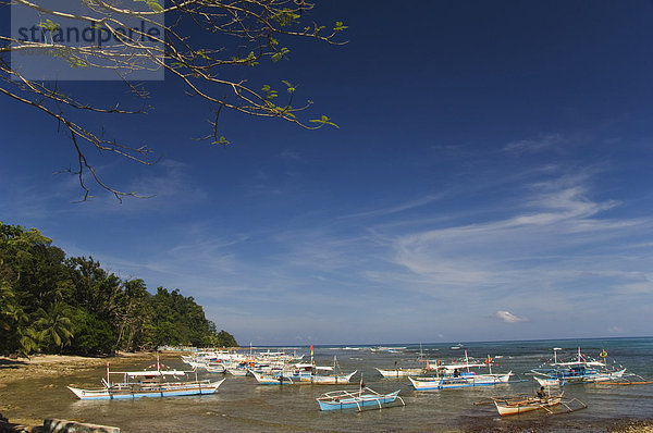 Farbenfrohe Fischerboote am Strand Sabang Stadt  Palawan  Philippinen  Südostasien  Asien