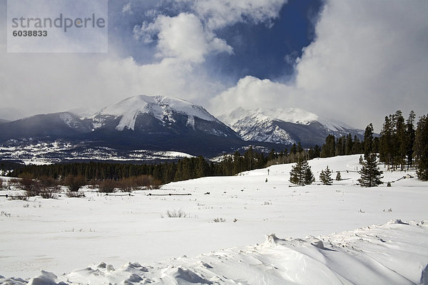 Windig Point  White River National Forest  Breckenridge  felsige Berge  Colorado  Vereinigte Staaten von Amerika  Nordamerika