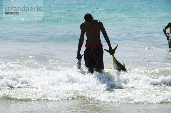 Fischer bringen fangen auf Strand in Santa Maria auf der Insel Sal (Salz)  Kapverdische Inseln  Afrika