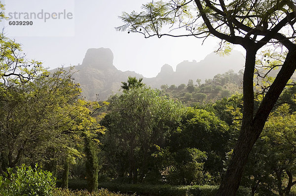 nahe Botanischer Garten Botanische Berg Vulkan Ansicht Afrika