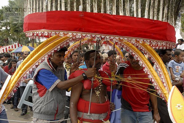 Pilger während der hinduistische Thaipusam Festival bei Swami Sri Subramaniyar Tempel  in Trance  mit Käfig  ist bekannt als Kavadi (Träger)  tragen die Vel Kavadi  die von Spikes angebracht ist  das durchbohren seine Haut  die auf dem Weg nach Batu Caves  Selangor  Malaysia  Südostasien  Asien