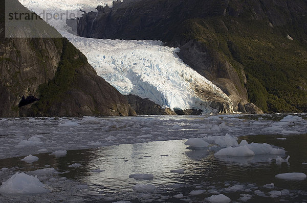 Garibaldi Gletscher  Darwin-Nationalpark  Feuerland  Patagonien  Chile  Südamerika