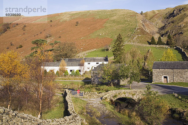 Steinmauer  Europa  Stein  Großbritannien  über  Gebäude  Bauernhof  Hof  Höfe  trocken  Brücke  Dorf  Herbst  Sehenswürdigkeit  Lasttier  Cumbria  England  alt