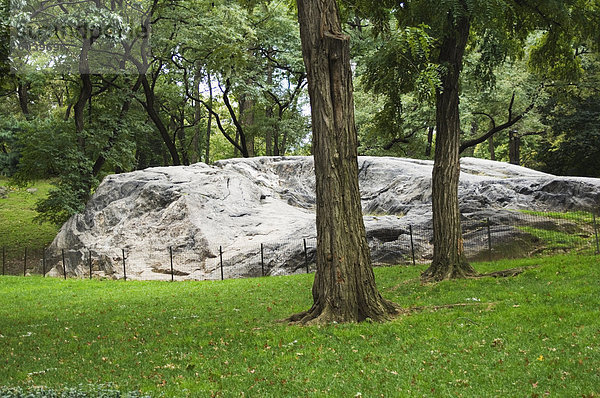 Granit-Aufschlüssen in Central Park  Manhattan  New York City  New York  Vereinigte Staaten von Amerika  Nordamerika