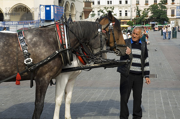 Pferd und Wagen im Marktplatz (Rynek Glowny)  Old Town District (Stare Miasto)  Krakow (Krakau)  Polen  Europa