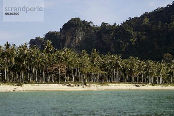 Lanah Bucht  Phi Phi Don Island  Thailand  Südostasien  Asien