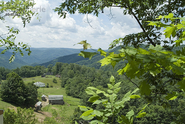 Landschaft  West Virginia  Vereinigte Staaten von Amerika  Nordamerika