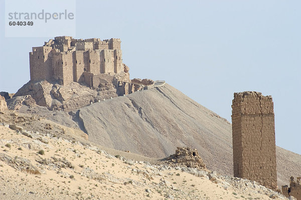 Qala'at ibn Maan Zitadelle Castle  Palmyra in Syrien  Naher Osten