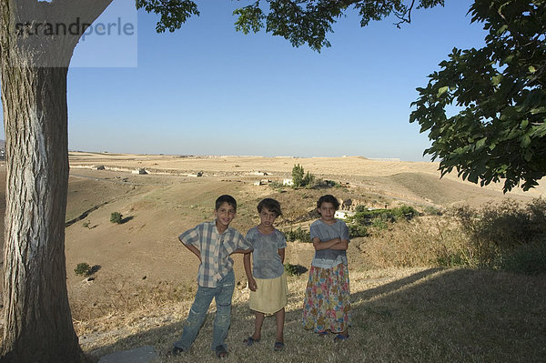 Kinder unter Baum  Apameia (Kalat bei al-Mudiq)  Syrien  Naher Osten