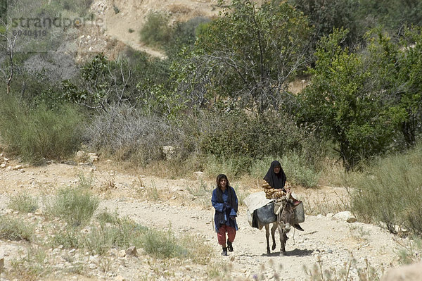 Einheimische Frauen auf Esel  Dana Natur (Wildlife) Reserve  Jordanien  Naher Osten