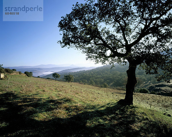 Landschaft  Barbagia  Insel Sardinien  Italien  Europa