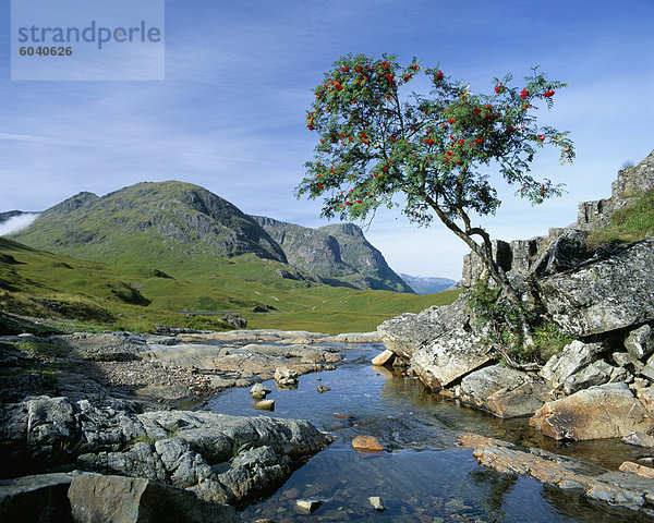 Die drei Schwestern von Glencoe  Hochlandregion  Schottland  Vereinigtes Königreich  Europa