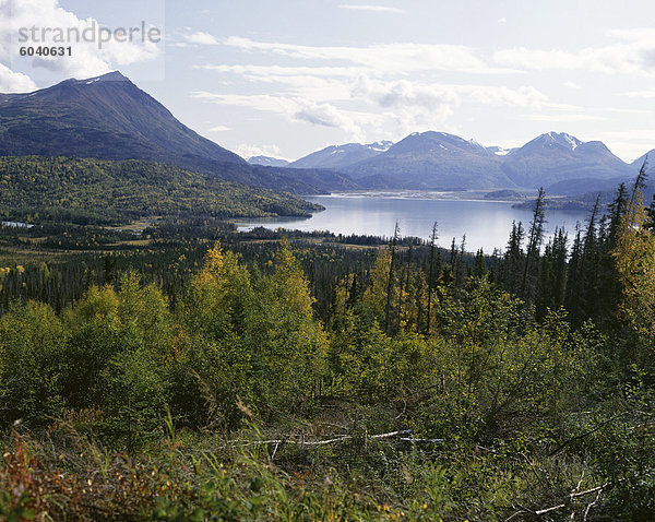 Nördliche Nadelwald herum Skilak Lake auf der Kenai-Halbinsel  Alaska  Vereinigte Staaten von Amerika (USA)  Nordamerika