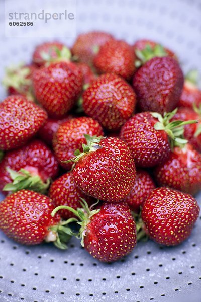 Erhöhte Ansicht von frischen Erdbeeren