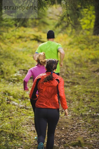 Drei Athleten Joggen durch Wald