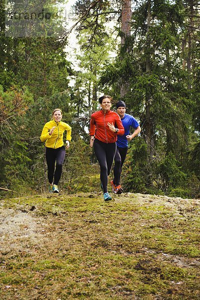 Drei Athleten Joggen durch Wald