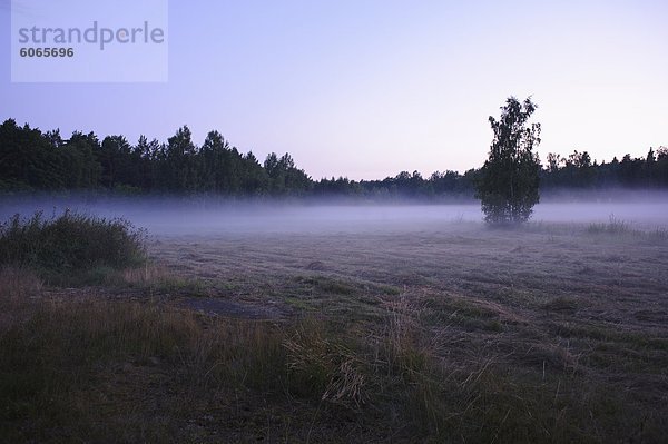 Nebelig Landschaft