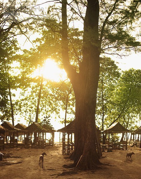 Hütte Strand Urlaub Phuket