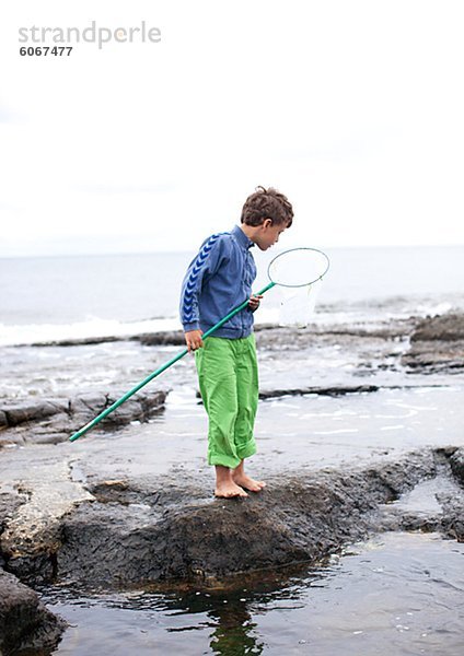 Felsbrocken stehend Junge - Person halten Meer Netz Schmetterling