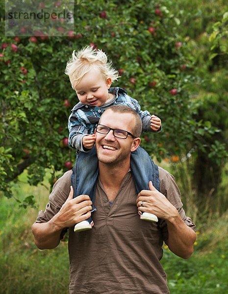 Kommissionierung Äpfel mit seinem jungen Sohn Vater