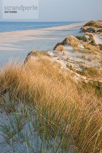 Sand Dume an Küste