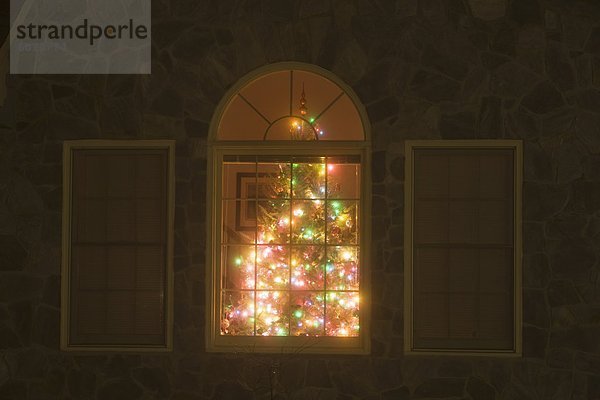 beleuchtet Weihnachtsbaum Tannenbaum Interior zu Hause zu Hause