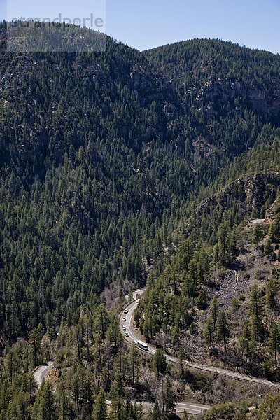 Kiefer-Wald und Land Straße  Oak Creek Canyon  Arizona  USA