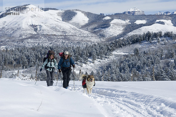 Frau  bedecken  Hund  Skisport  Wiese  groß  großes  großer  große  großen  Colorado  Schnee