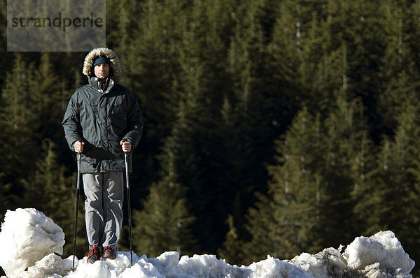 Mann Tag Hintergrund Skisport Schneewehe Kiefer Pinus sylvestris Kiefern Föhren Pinie