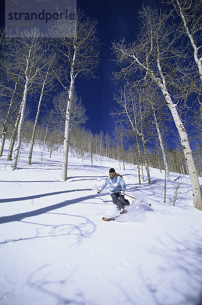 Frau  Baum  Skisport  Utah